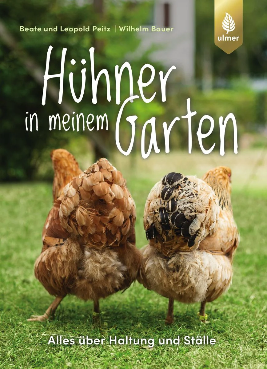 Vorschaubild 1