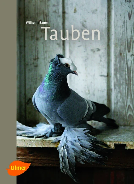 Vorschaubild 1