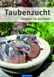 Vorschaubild 1