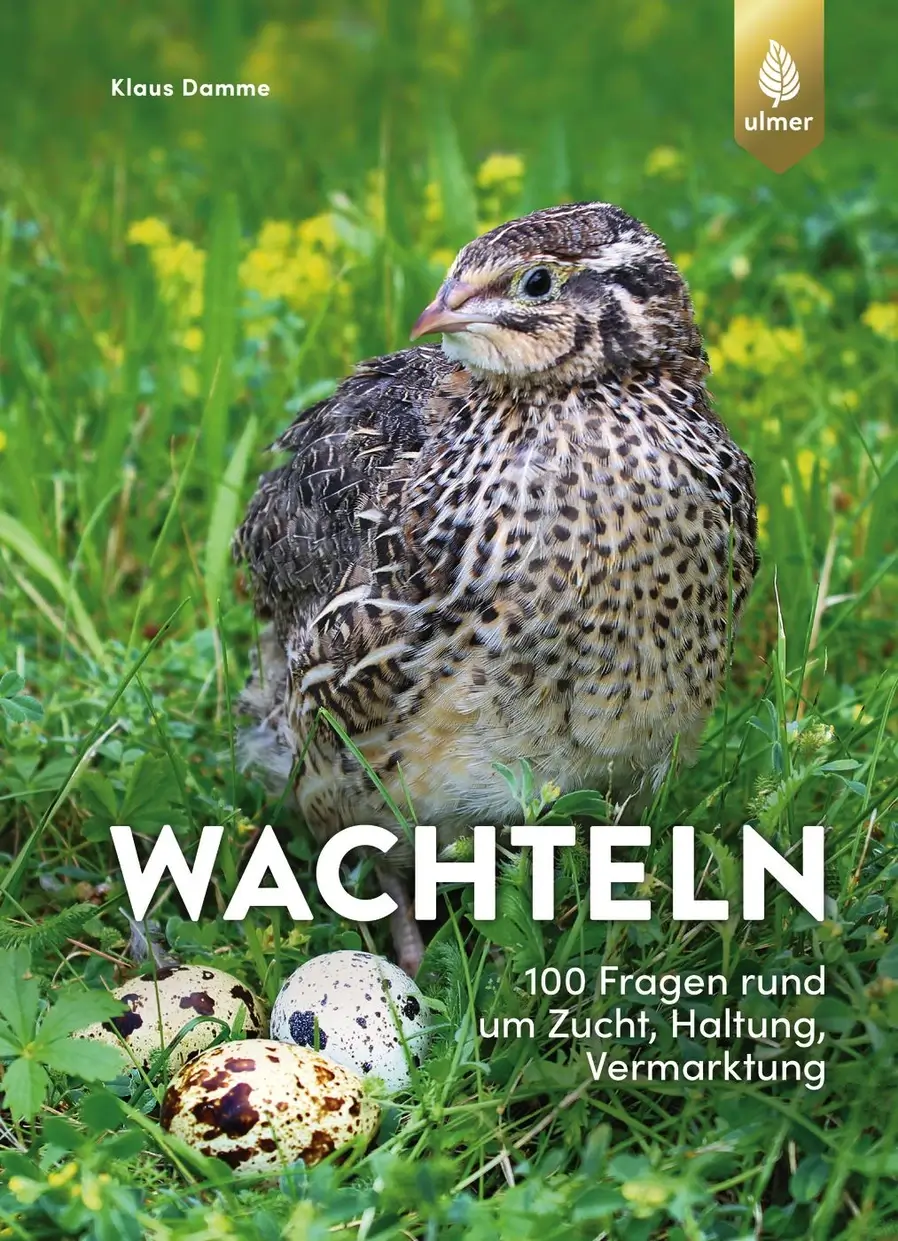 Wachteln & Sonstiges