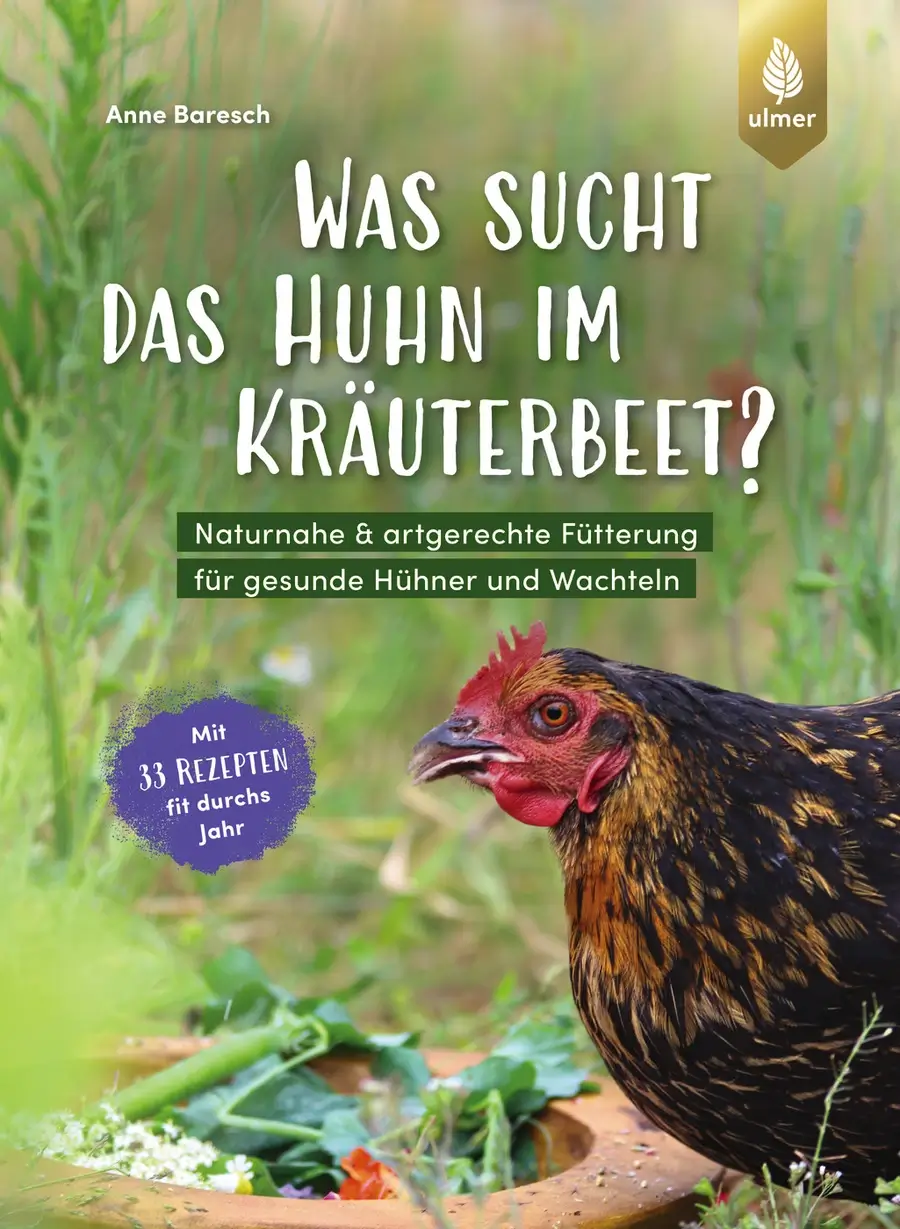 Hühner & Zwerghühner