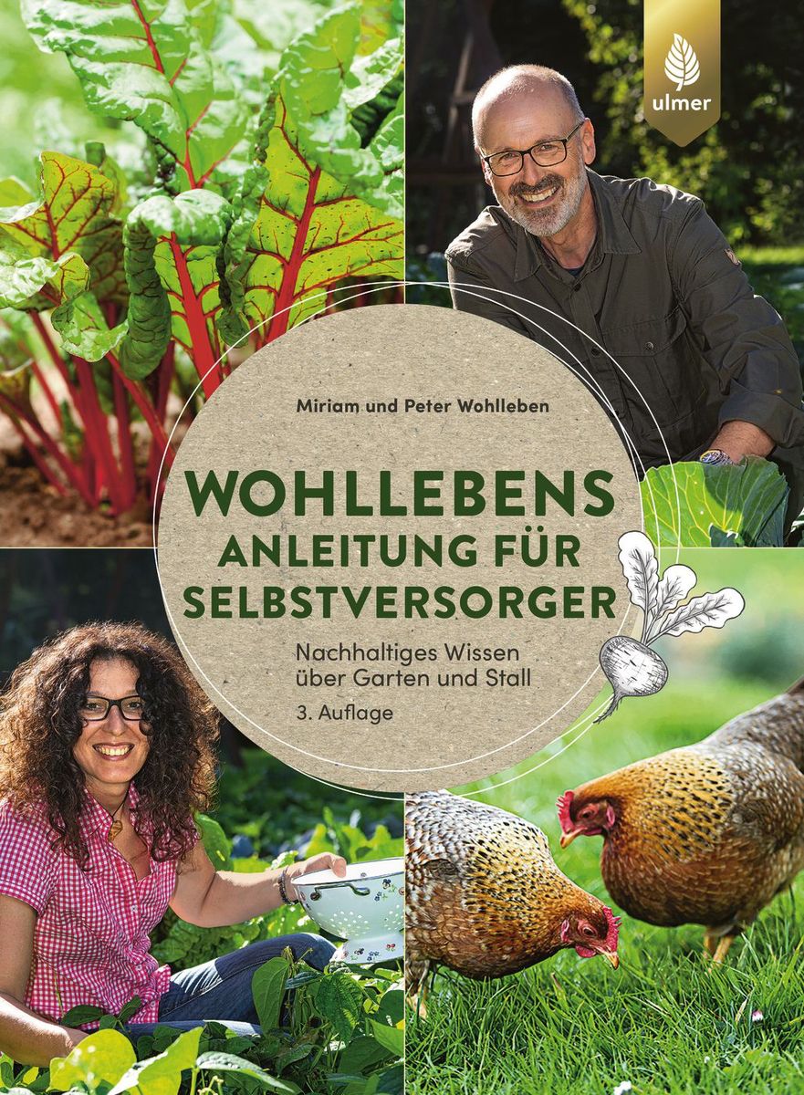 Vorschaubild 1
